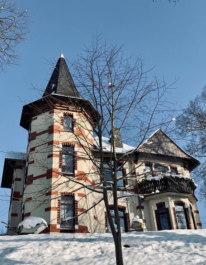 Turmvilla Vogtland Oelsnitz  Buitenkant foto