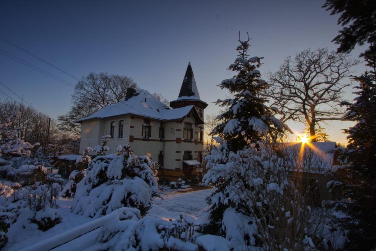 Turmvilla Vogtland Oelsnitz  Buitenkant foto