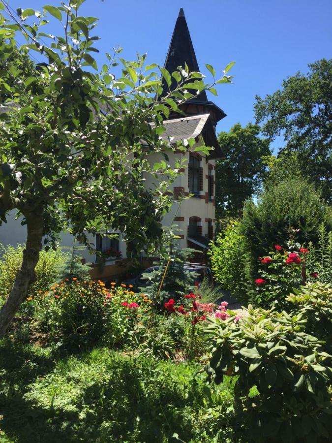 Turmvilla Vogtland Oelsnitz  Buitenkant foto
