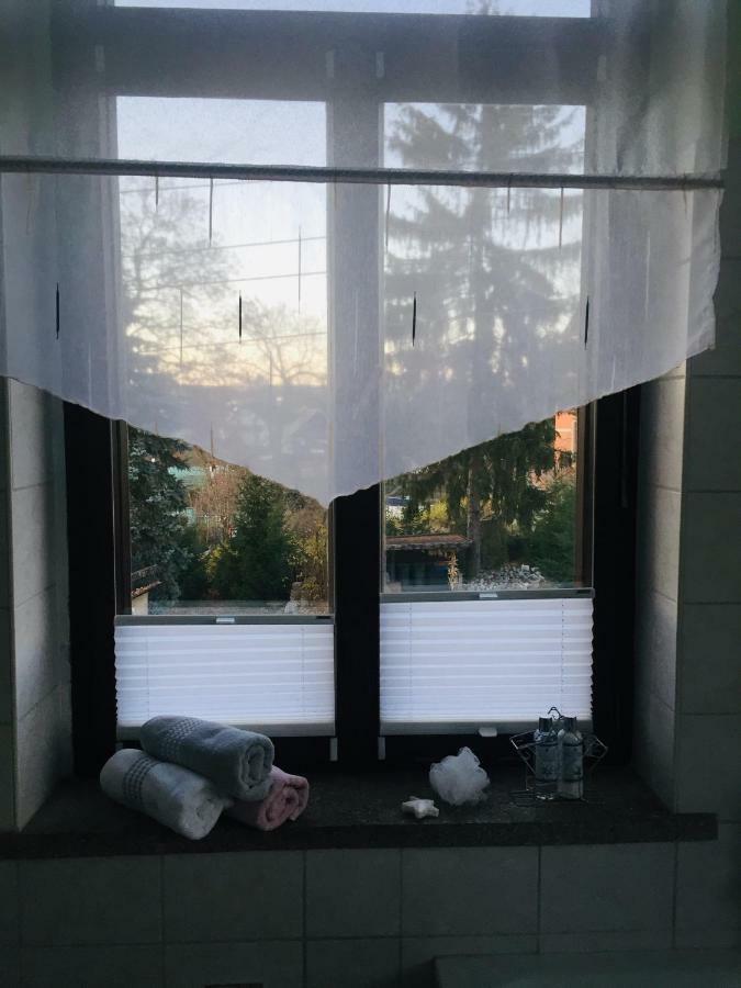 Turmvilla Vogtland Oelsnitz  Buitenkant foto