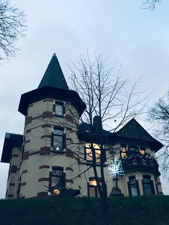 Turmvilla Vogtland Oelsnitz  Buitenkant foto